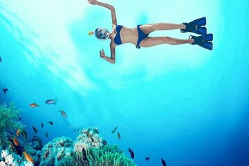 Thrills & Waves Semi-Submarine &ATV, Camel, & Parachute-Hurghada - Gallery Image 5
