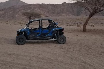 Buggy Adventure Desert Safari Tour - Gallery Image 5