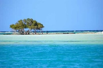 Hamata and Qulaan Islands Snorkeling Trip From Marsa ALam - Gallery Image 4