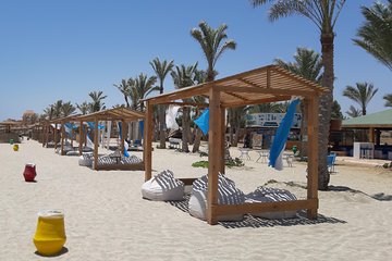 Turtles Bay, Swimming with Turtles Hurghada & Marsa ALam - Gallery Image 5