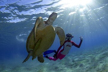 Full Day Paradise Island Excursion with Included Snorkeling - Gallery Image 5