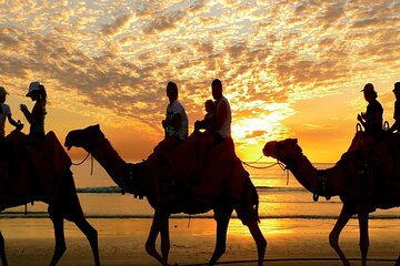 Safari Full Day Quad Jeep And Camel Ride With Dinner In Hurghada - Gallery Image 2