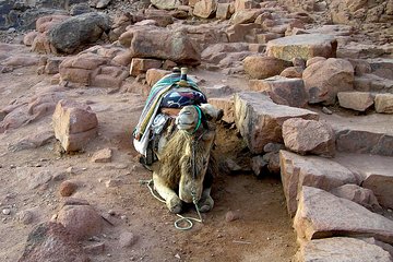 Sunrise at Mt.Sinai and St.Catherine monastery. Entrance included - Gallery Image 3