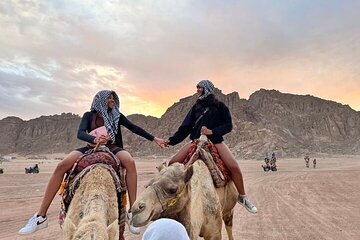 Marsa Alam Super Safari: ATV Quads, Camel Rides, Bedouin Dinner. - Gallery Image 3