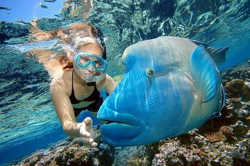 Orange Bay Island Sea Trip With Water Sports & Lunch - Gallery Image 1