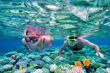Orange Bay Island Sea Trip With Water Sports & Lunch - Gallery Image 4