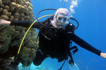 Excursion to Tiran Island by boat - Gallery Image 1