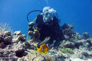 Excursion to Tiran Island by boat - Gallery Image 5