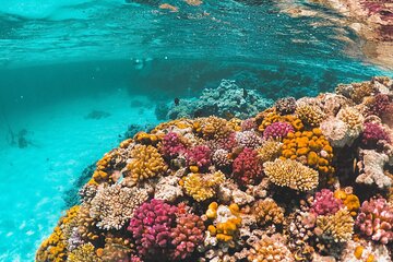 Sharm El Sheikh: White Island and Ras Mohamed Cruise Adventure - Gallery Image 4