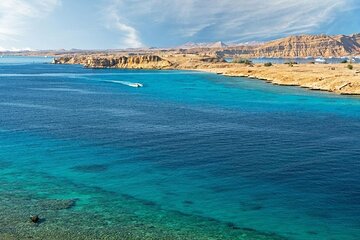 Sharm El Sheikh: White Island and Ras Mohamed Cruise Adventure - Gallery Image 5