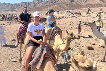 Blue Hole Tour & Dahab Canyon and Camel ride - Gallery Image 5