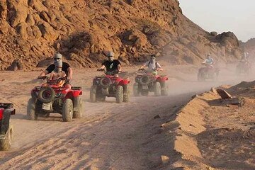 Quad Biking Safari-Camel Ride-Bedouin Dinner and Shows From Sharm - Gallery Image 2