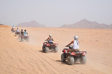 Quad Biking Safari-Camel Ride-Bedouin Dinner and Shows From Sharm - Gallery Image 4