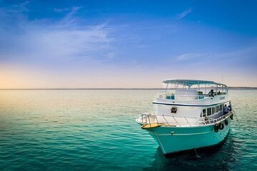 Hamata & Qulaan Islands Snorkeling Trip with Lunch - Marsa Alam - Gallery Image 5
