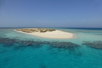 Sharm El-Sheikh White Island & Ras Mohammed Adventure - Gallery Image 5