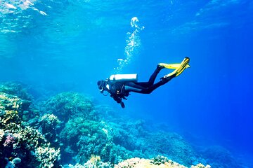 El Gouna: Professional Scuba Diving Tour with Lunch & Transfer - Gallery Image 1