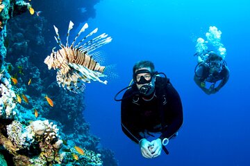El Gouna: Professional Scuba Diving Tour with Lunch & Transfer - Gallery Image 2