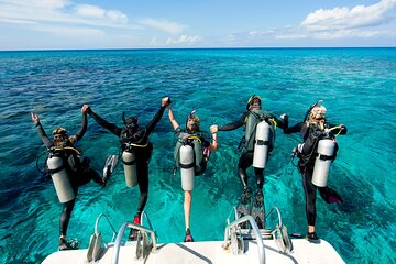 El Gouna: Professional Scuba Diving Tour with Lunch & Transfer - Gallery Image 3