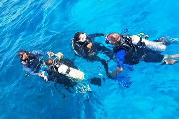 El Gouna: Professional Scuba Diving Tour with Lunch & Transfer - Gallery Image 4