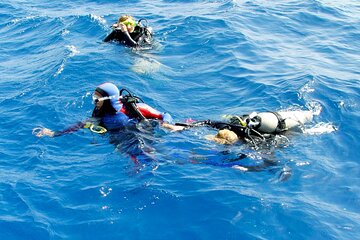 El Gouna: Professional Scuba Diving Tour with Lunch & Transfer - Gallery Image 5